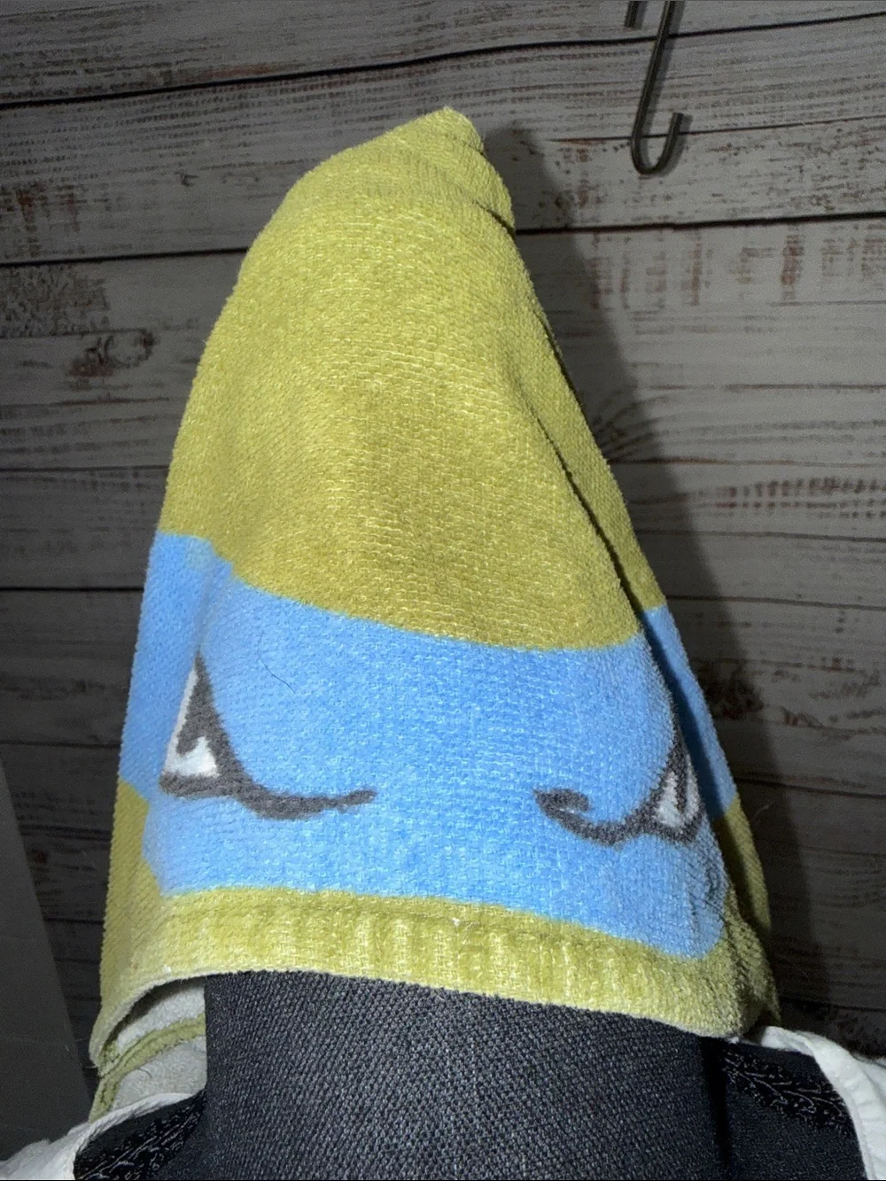Teenage Mutant Ninja Turtles Hooded Towel